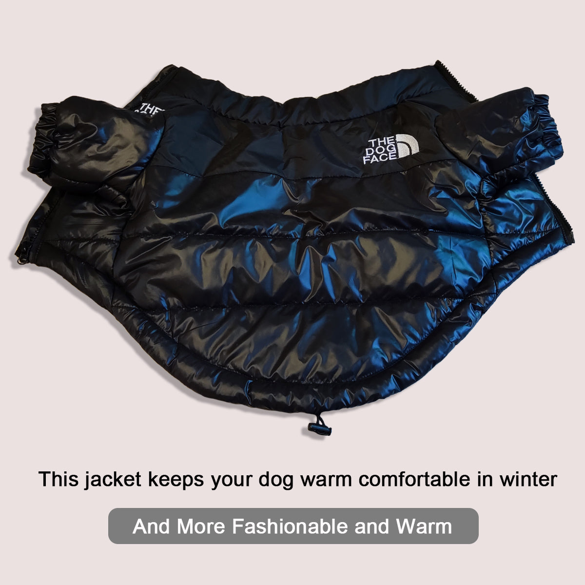 Warm Winter Coat for Small to Medium Dogs