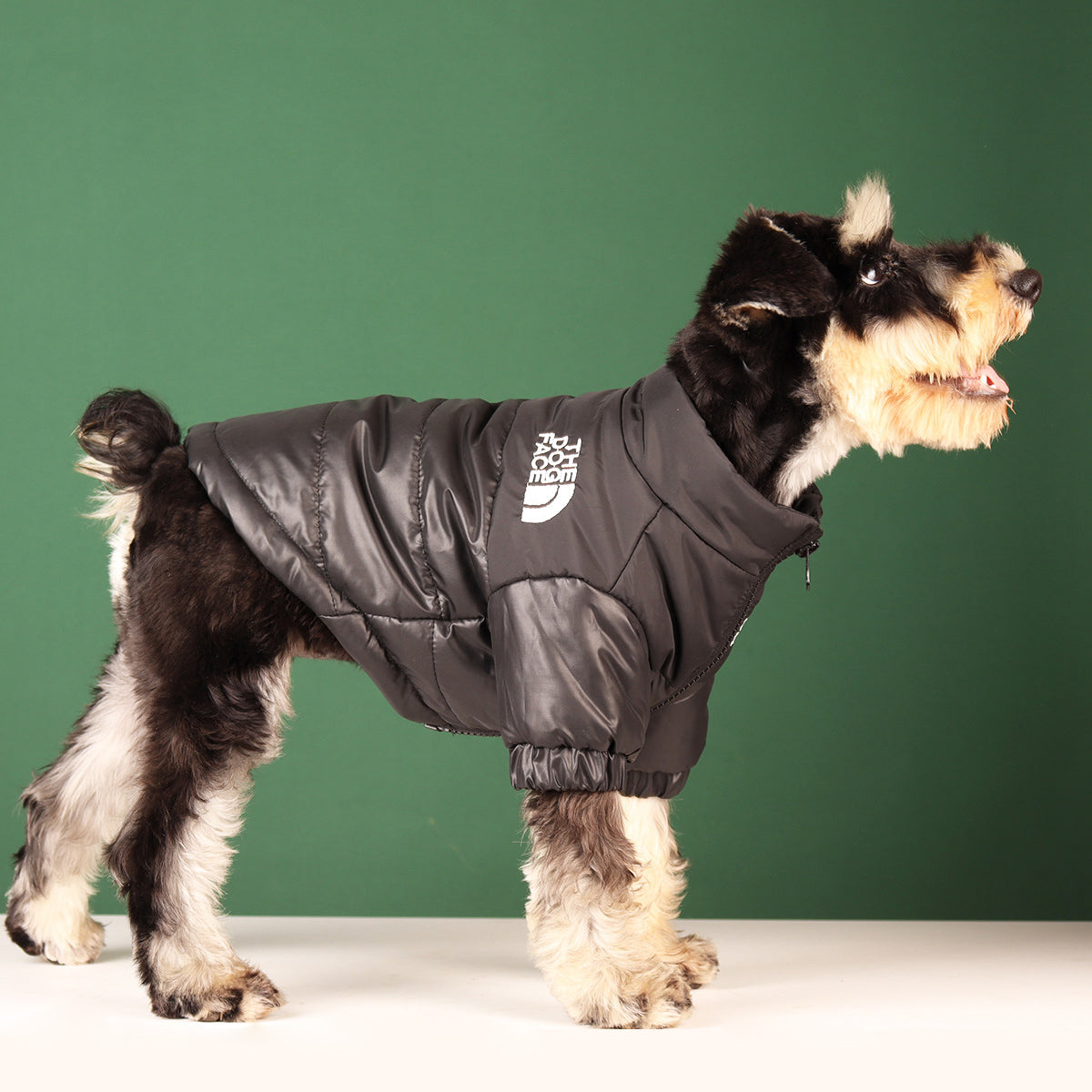 Warm Winter Coat for Small to Medium Dogs