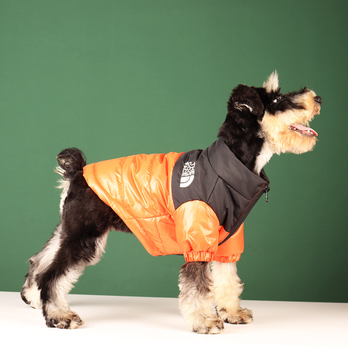 Warm Winter Coat for Small to Medium Dogs