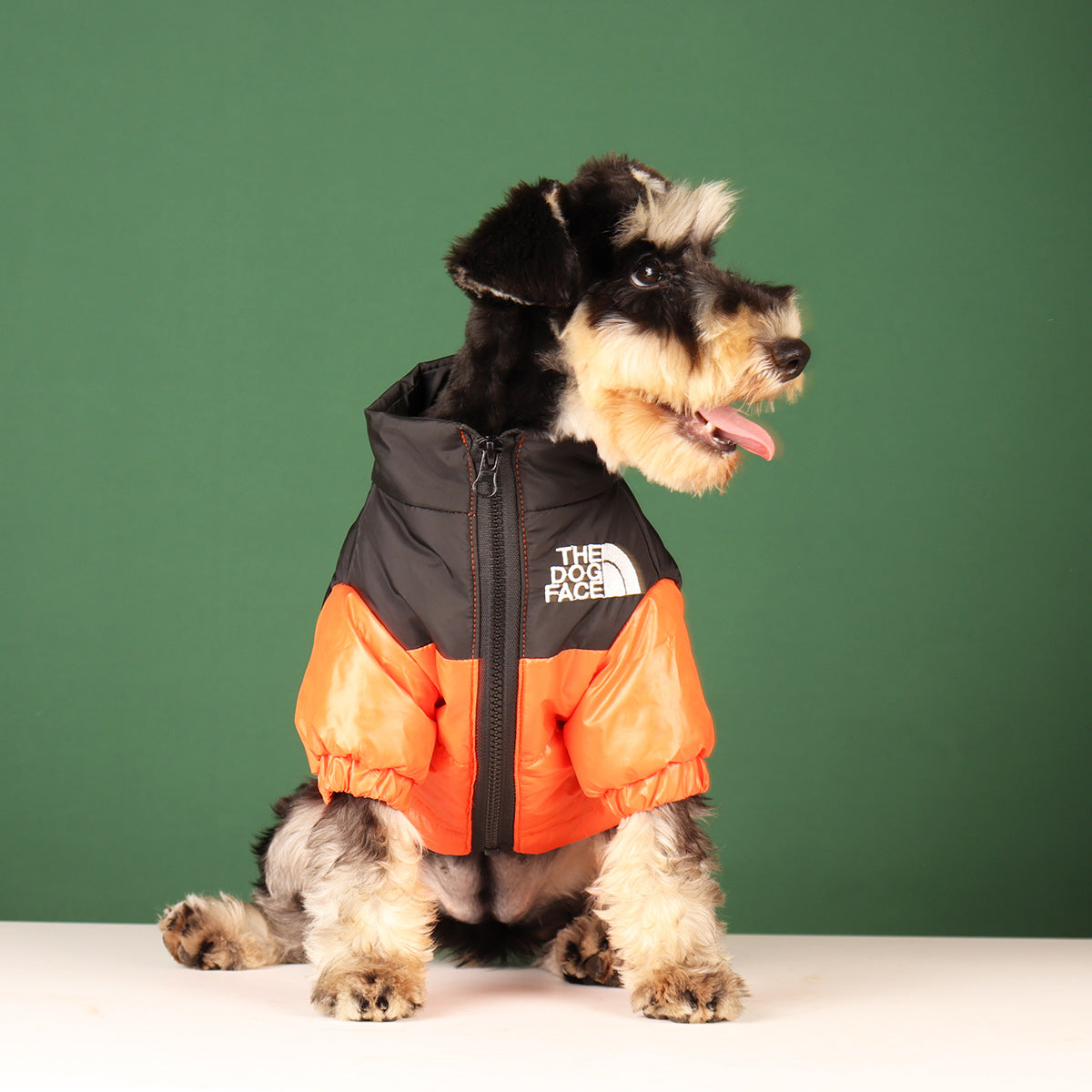 Warm Winter Coat for Small to Medium Dogs