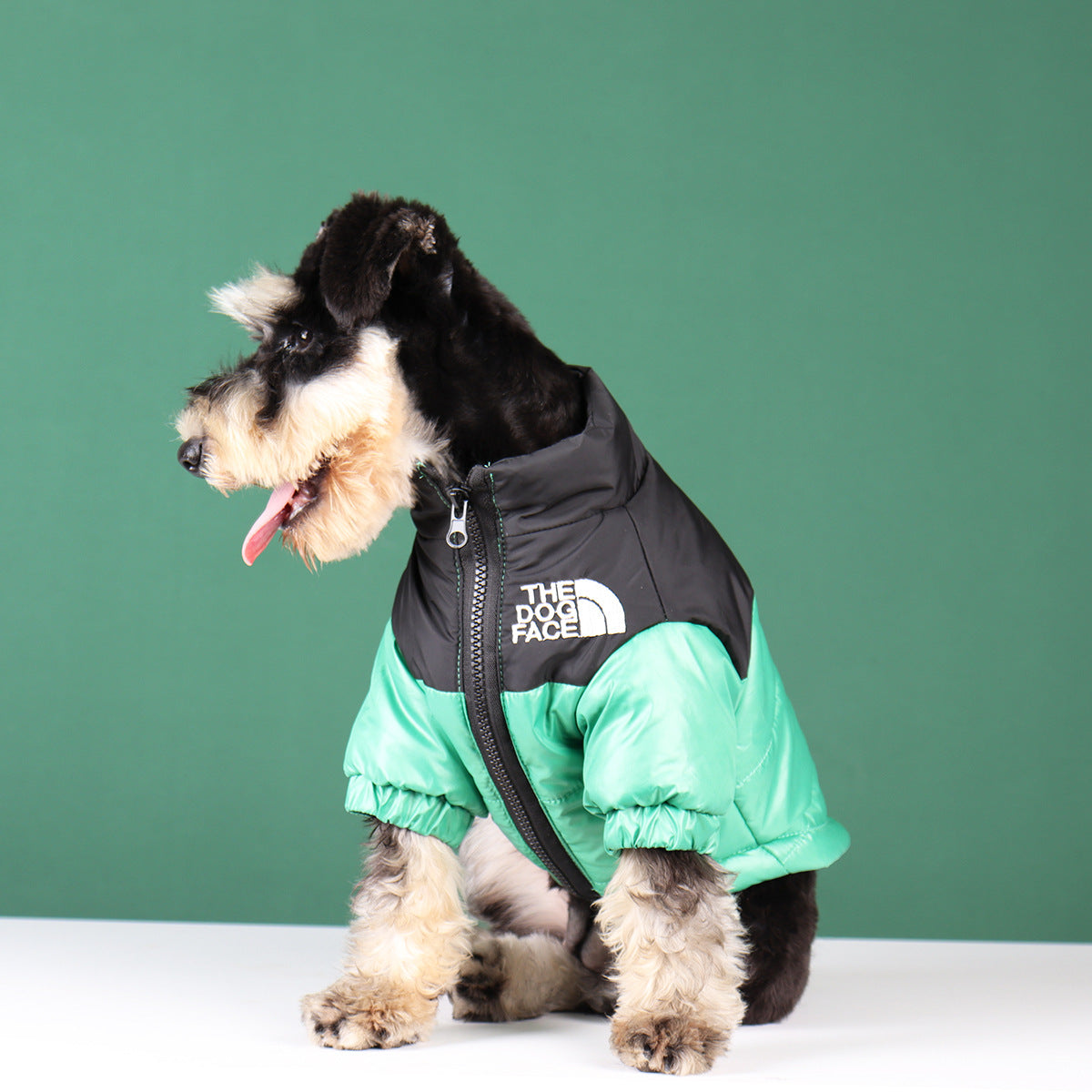 Warm Winter Coat for Small to Medium Dogs