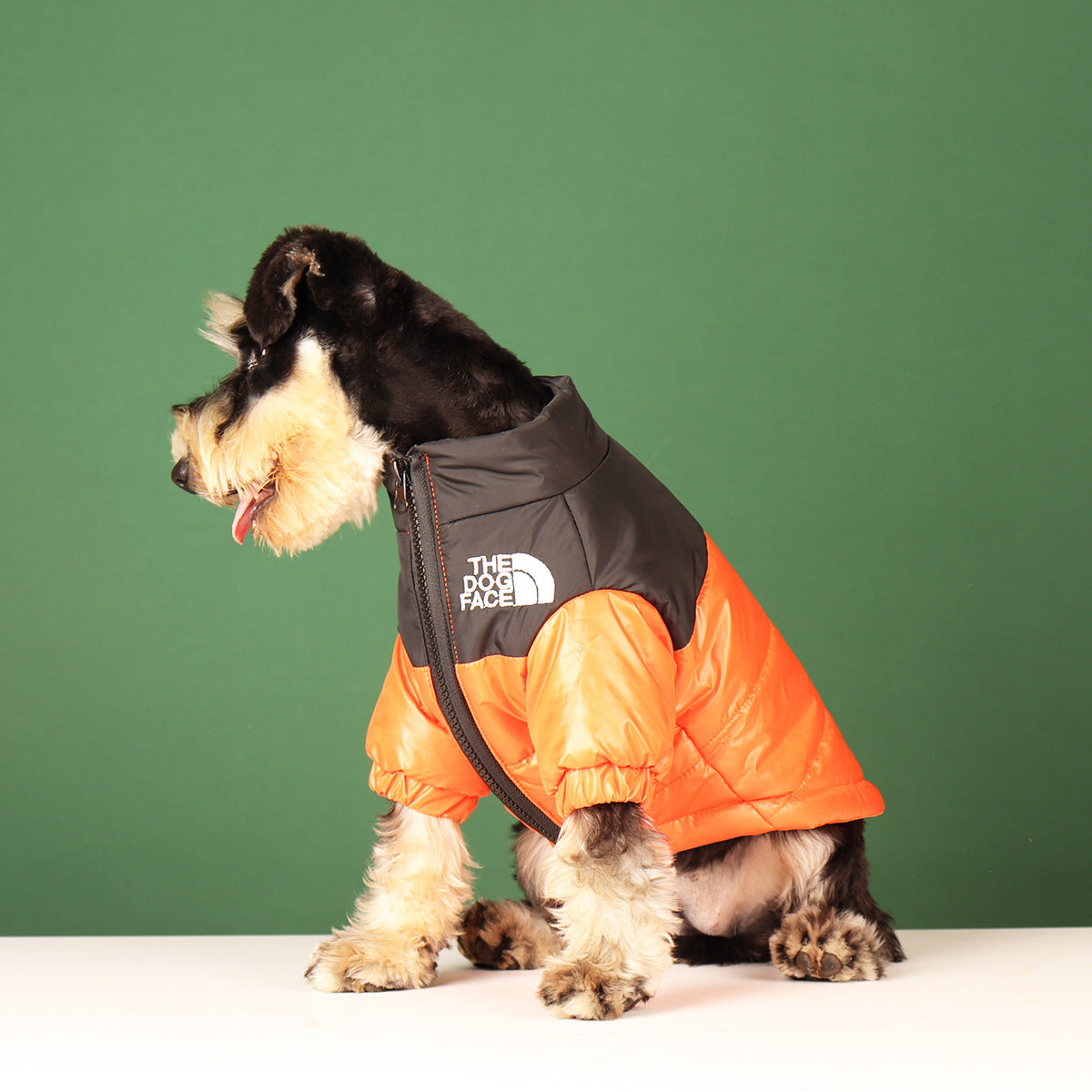 Warm Winter Coat for Small to Medium Dogs