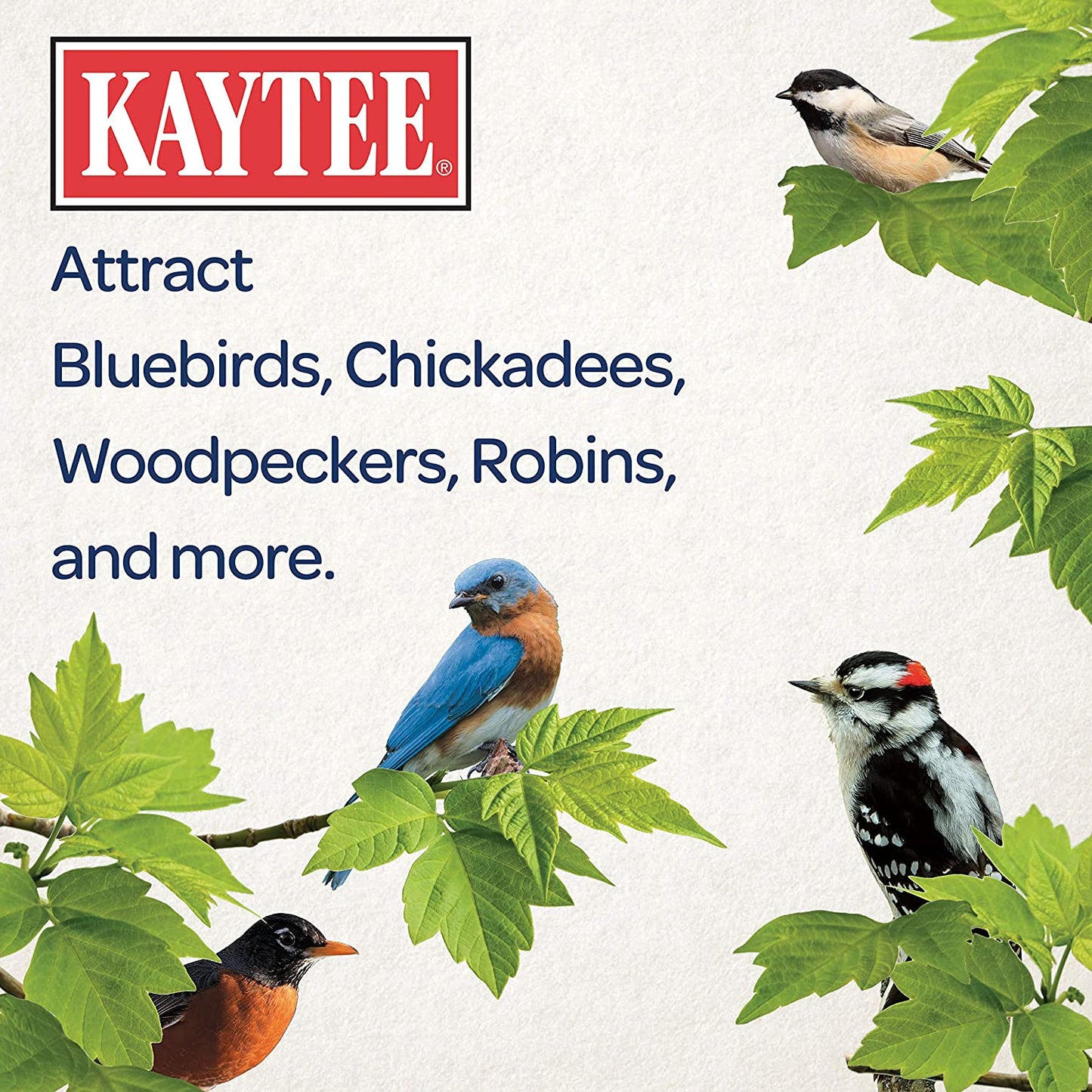 Kaytee Wild Bird Seed